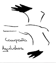 aguiluchos_logo